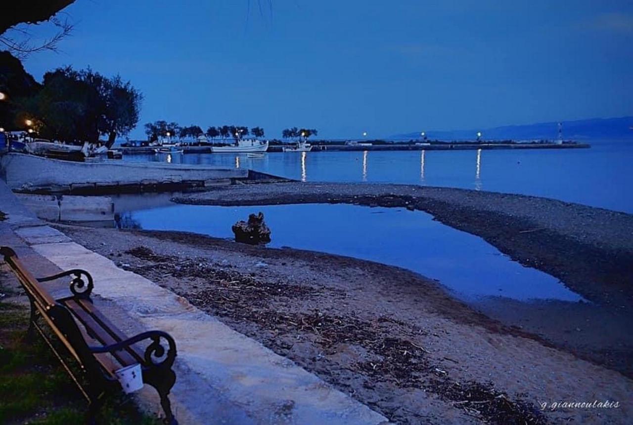 Harmony Seaside Pelion Lägenhet Platanias  Exteriör bild