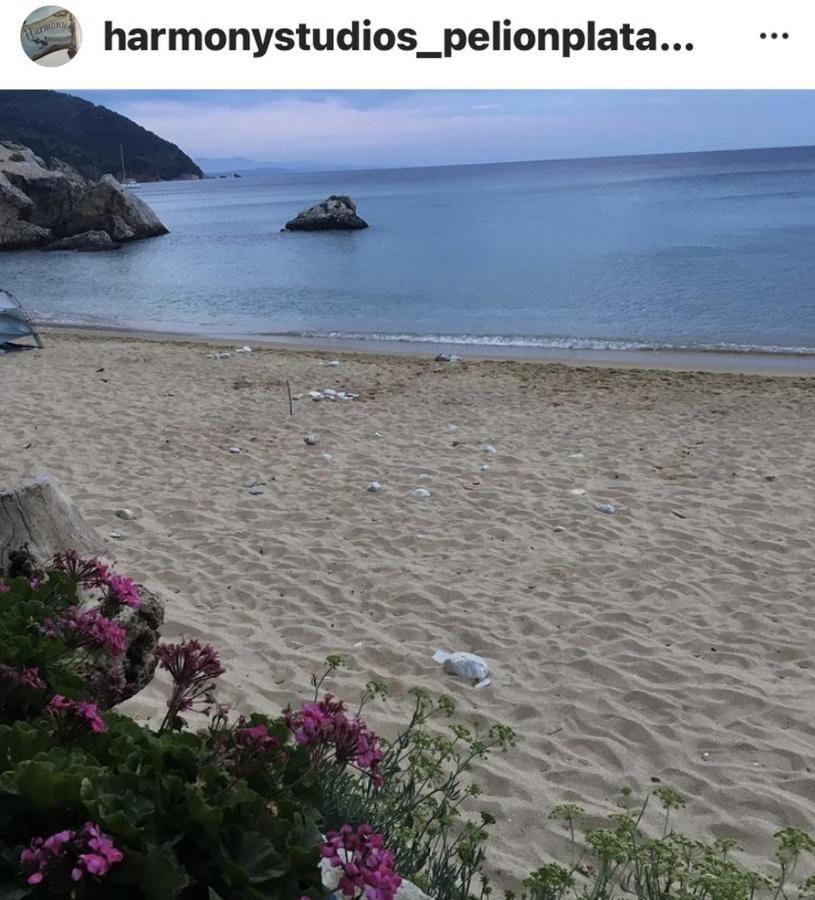 Harmony Seaside Pelion Lägenhet Platanias  Exteriör bild